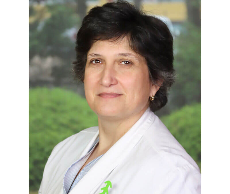 Dr. Vona Andrea