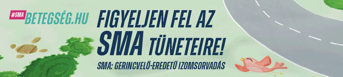 smabetegseg hu banner