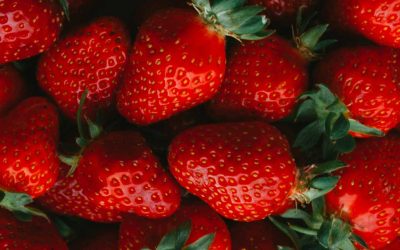 KÖZLEMÉNY EPERMÉRGEZÉS ÜGYÉBEN