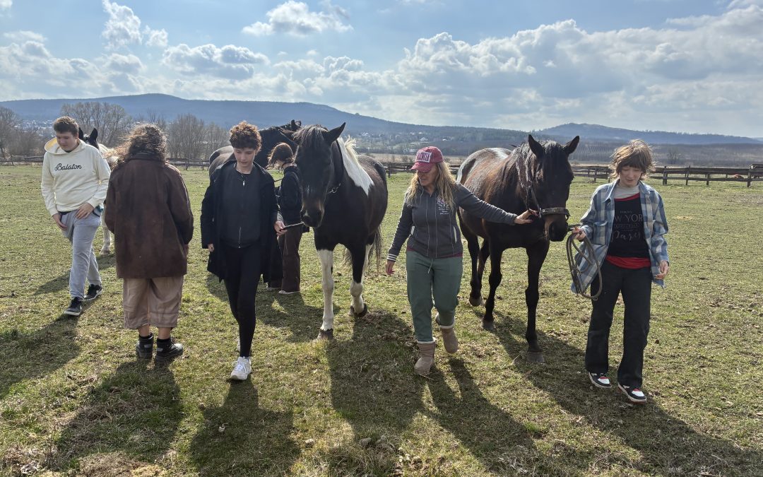 BÁRKA: A Bethesdában a gyógyulás nemcsak a testet, hanem a lelket is érinti