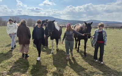 Home 9 BÁRKA: A Bethesdában a gyógyulás nemcsak a testet, hanem a lelket is érinti